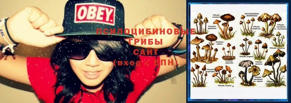 ешки Балахна