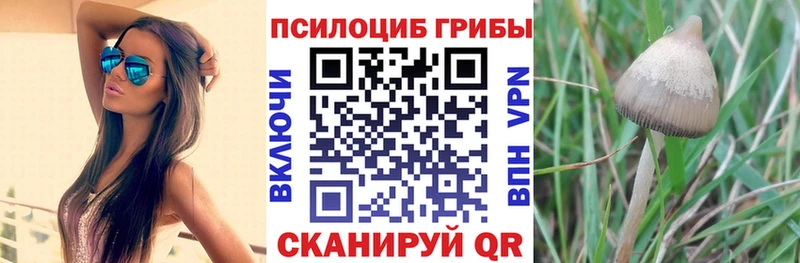 наркотики  Усть-Катав  OMG онион  Галлюциногенные грибы Magic Shrooms 
